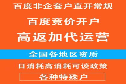 创新营销策略：小红书信息流广告的投放技巧与案例